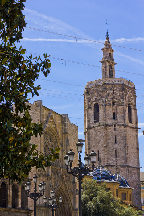 Orangenbaum und Kathedrale in Valencia