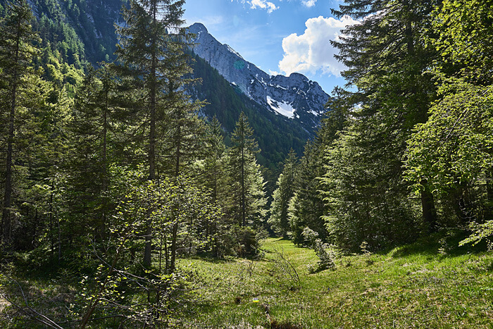 Wald und Berge Packliste Wandern