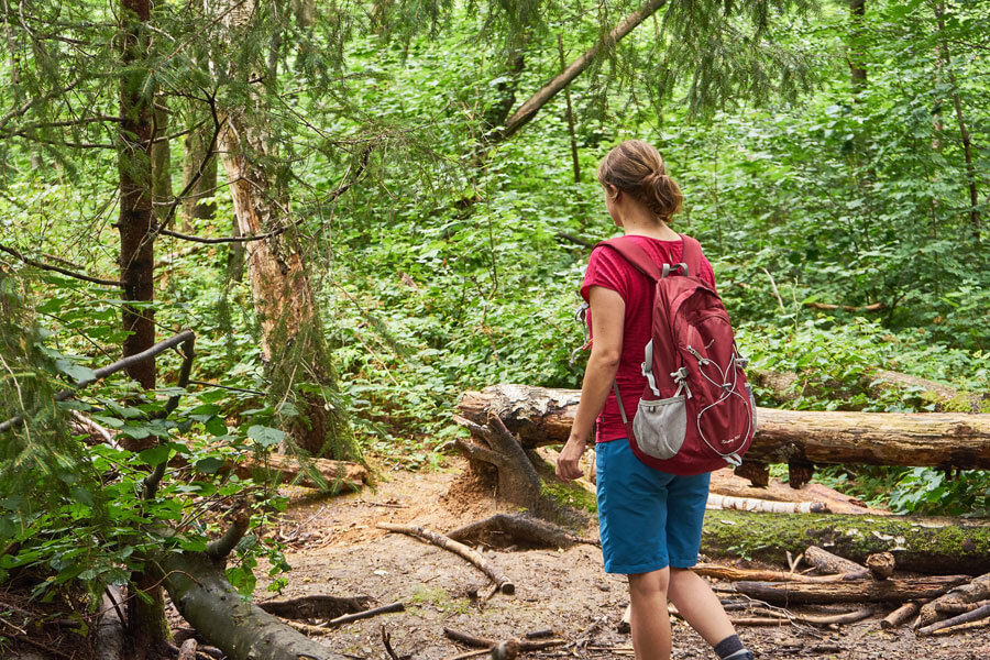 wanderbekleidung im sommer im wald