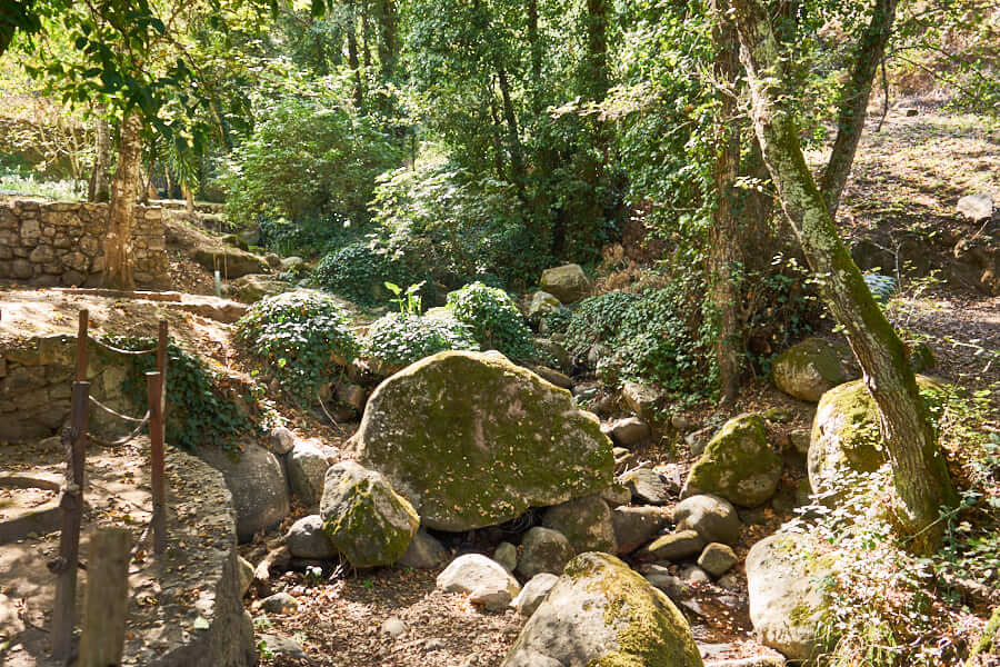 wald bei monchique